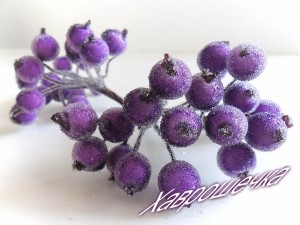 Калина цукрова ФІОЛЕТОВА